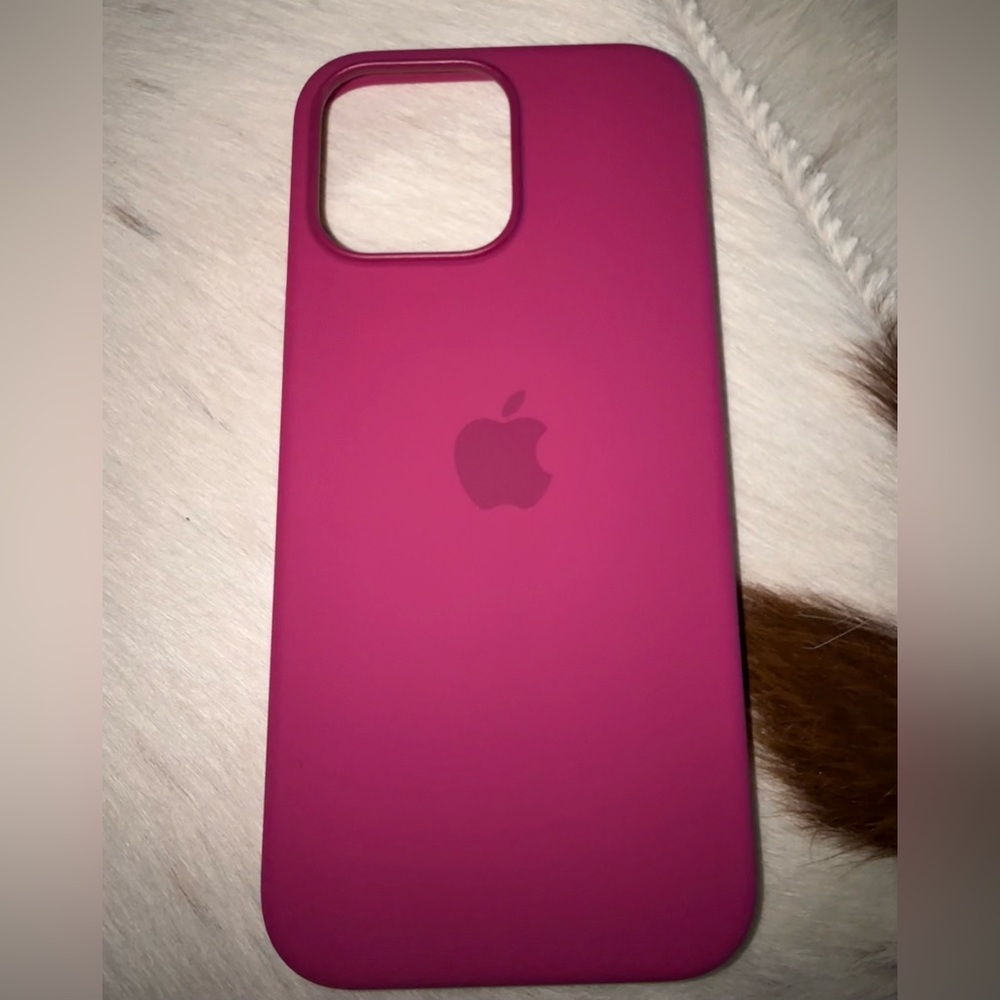 iPhone 16 pro max Apple case